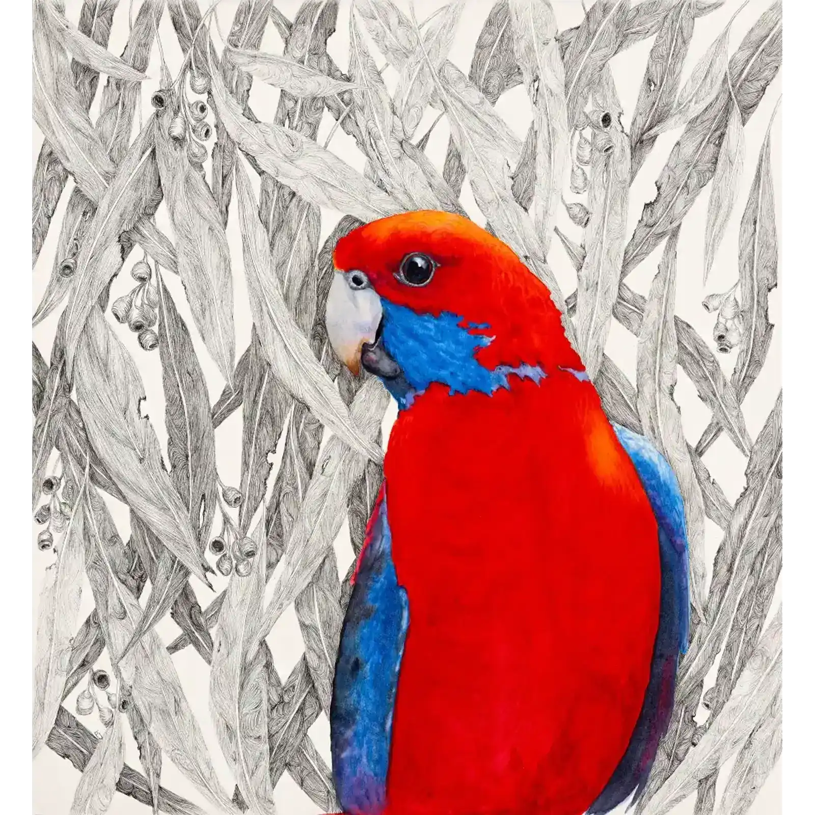 Crimson Beauty by Patricia Hopwood-Wade