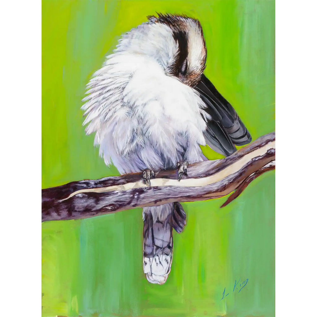 Kookaburra Preening by Laurence King