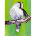 Kookaburra Preening by Laurence King