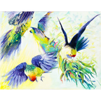 Rosellas in Flight by Laurence King
