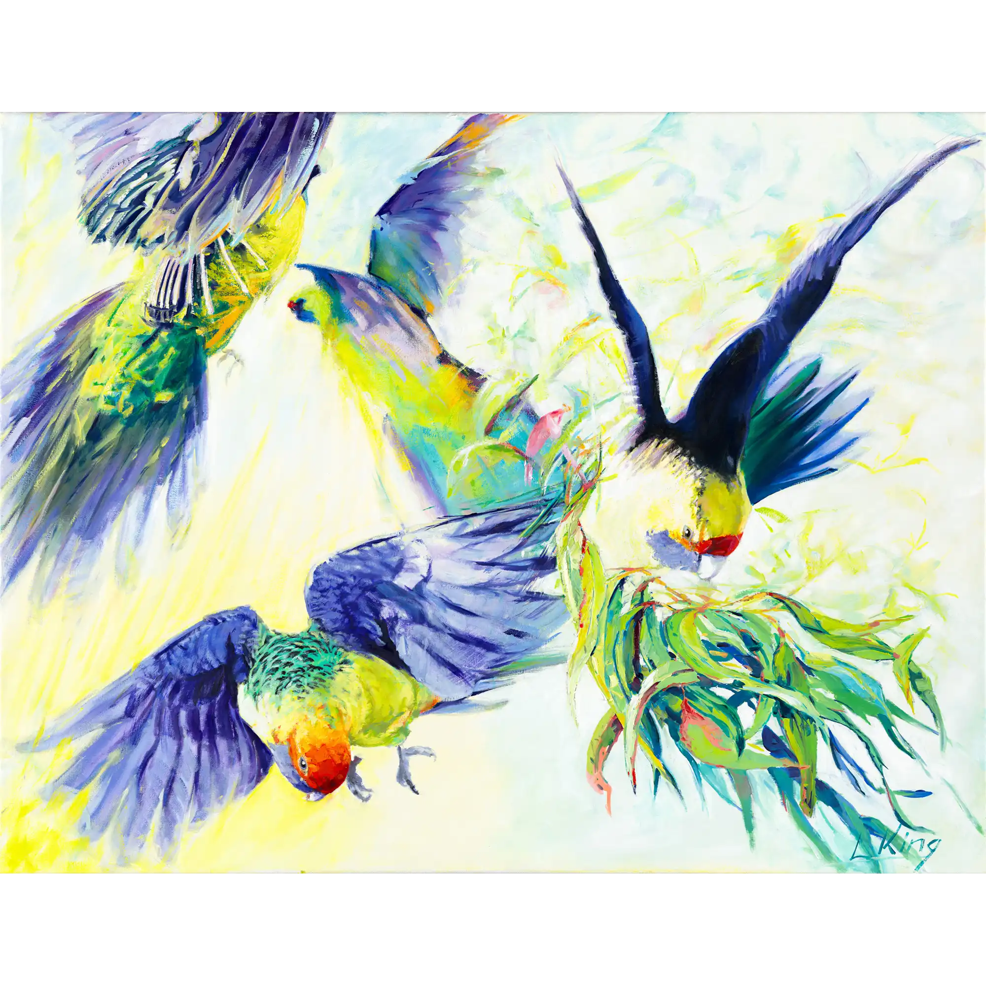 Rosellas in Flight by Laurence King
