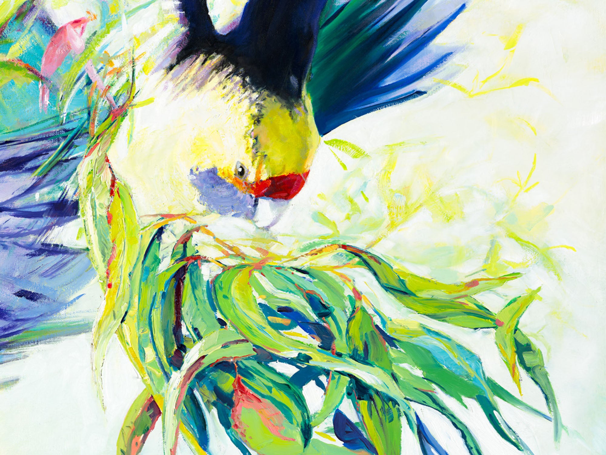 Rosellas in Flight by Laurence King