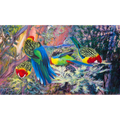 Four Rosellas by Laurence King