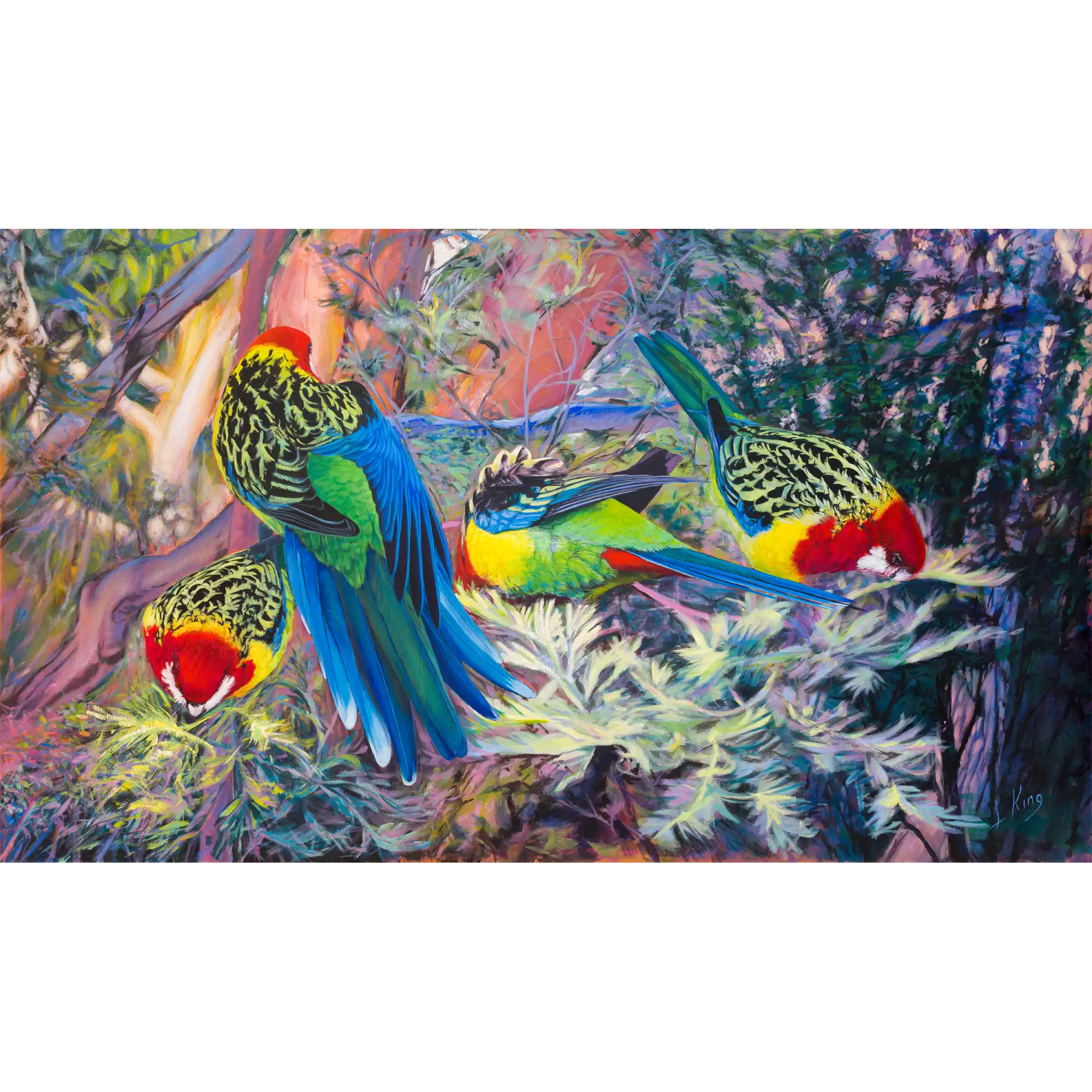 Four Rosellas by Laurence King