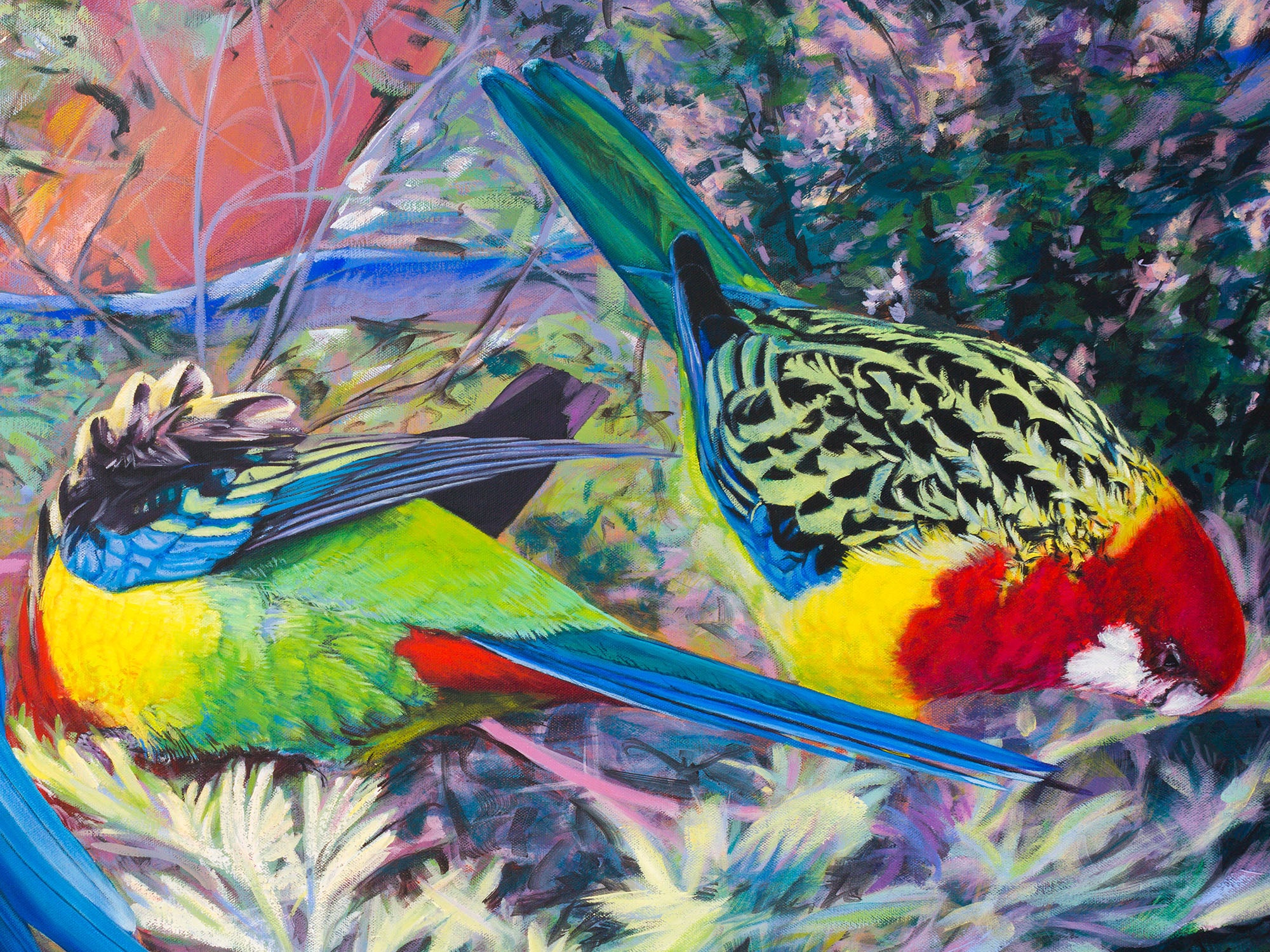 Four Rosellas by Laurence King