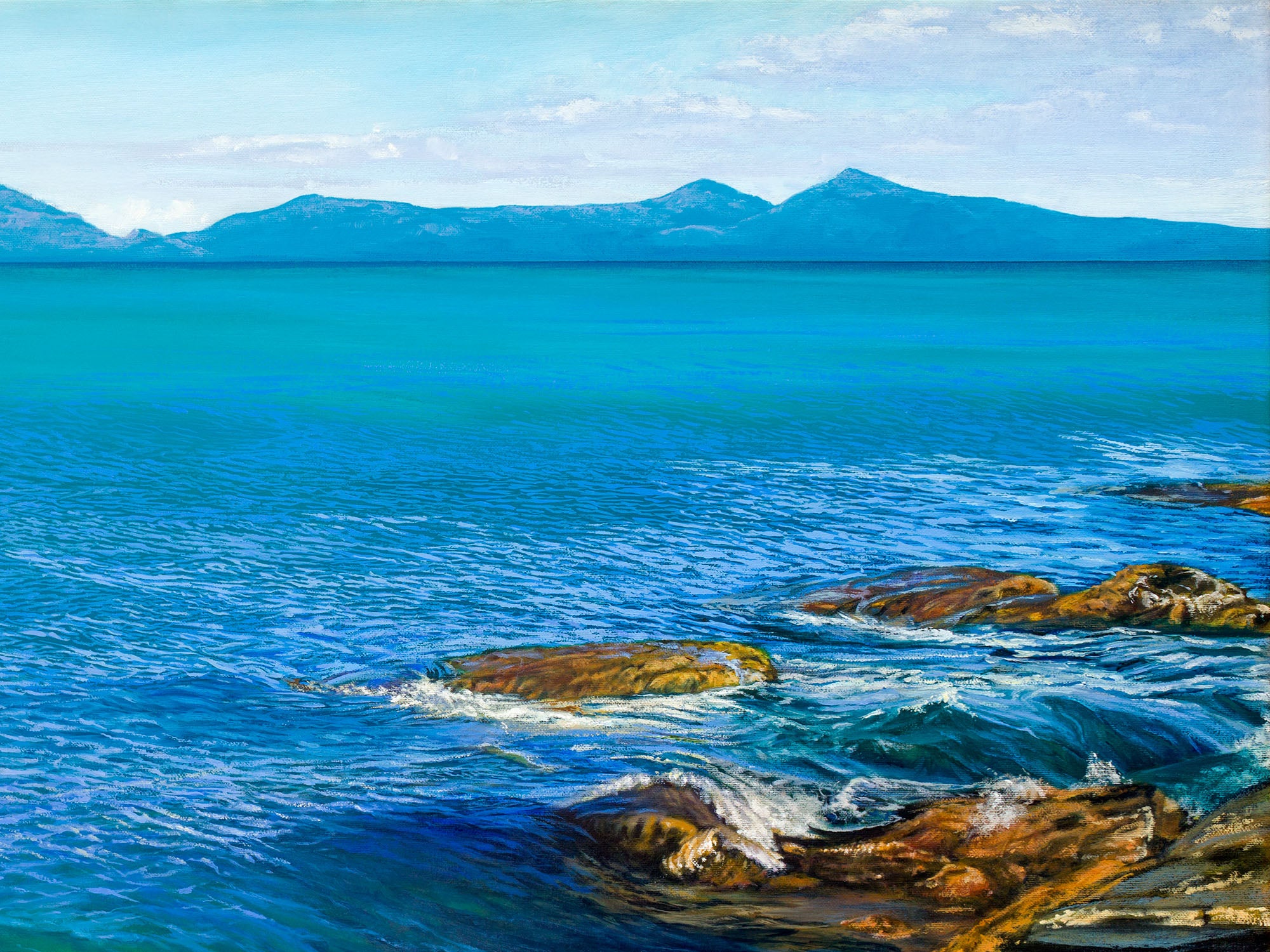 Leonardos Wave by Laurence King