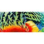 Plumage by Laurence King