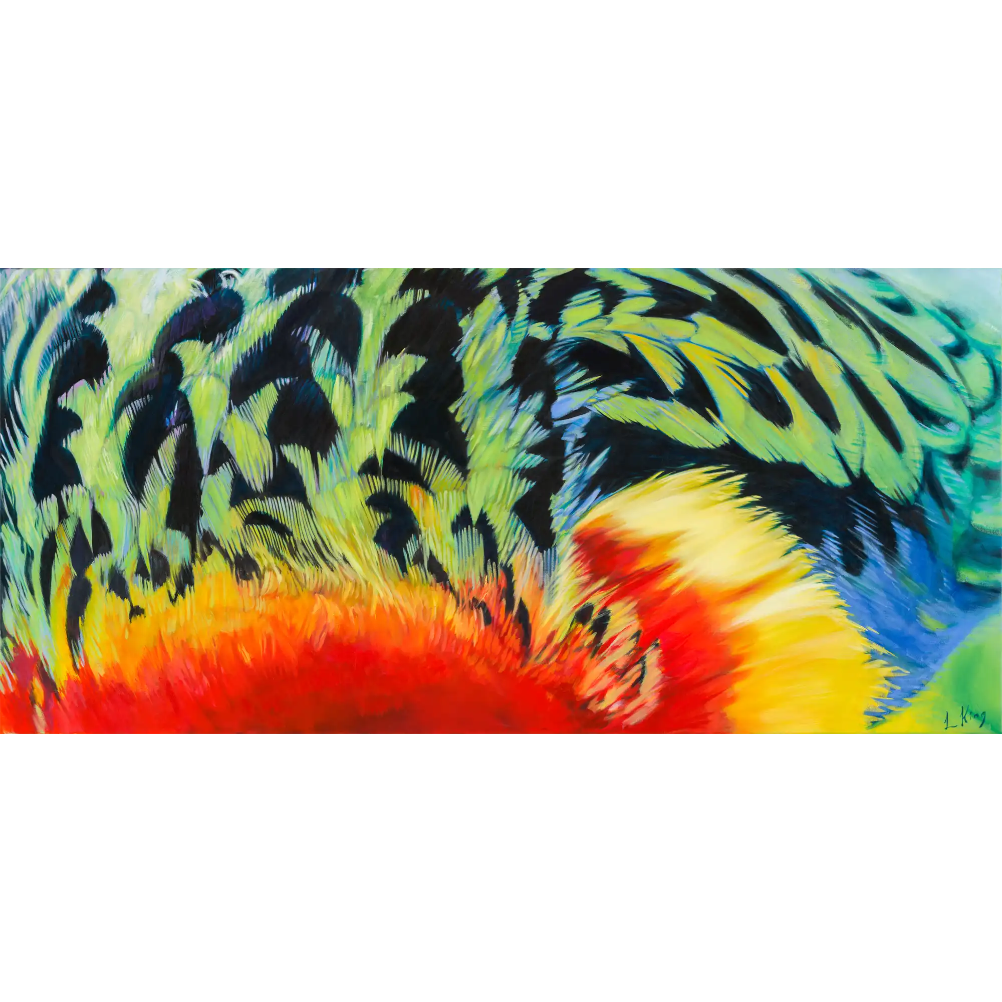 Plumage by Laurence King