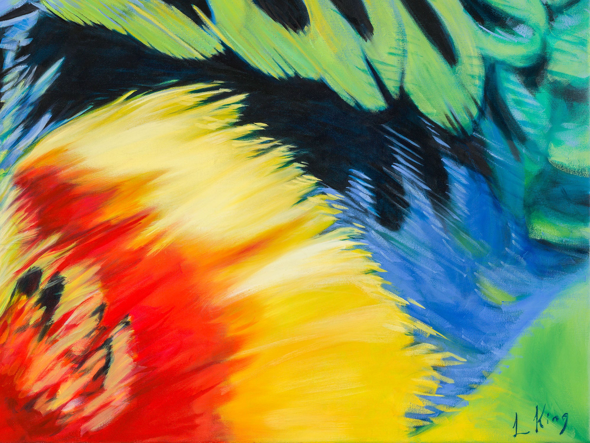 Plumage by Laurence King