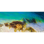Salt Works Shallows by Laurence King