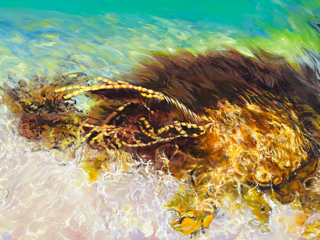 Salt Works Shallows by Laurence King