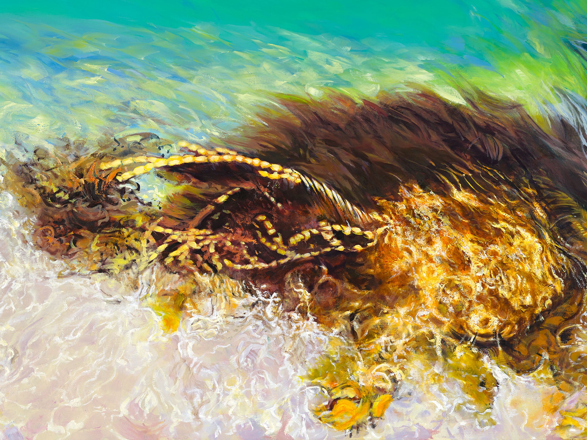 Salt Works Shallows by Laurence King