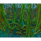Deep Forest After Rain by Jon Kudelka