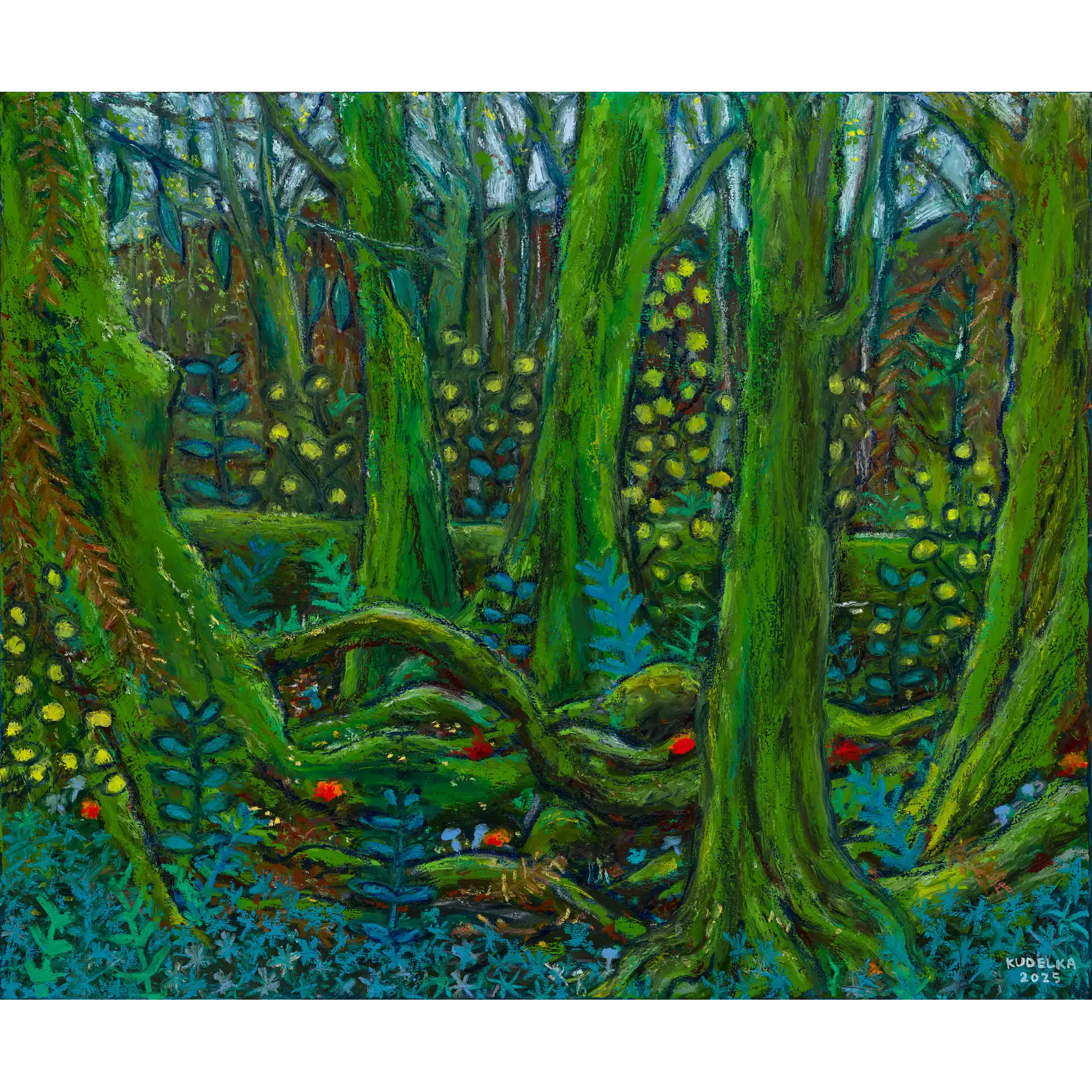 Deep Forest After Rain by Jon Kudelka
