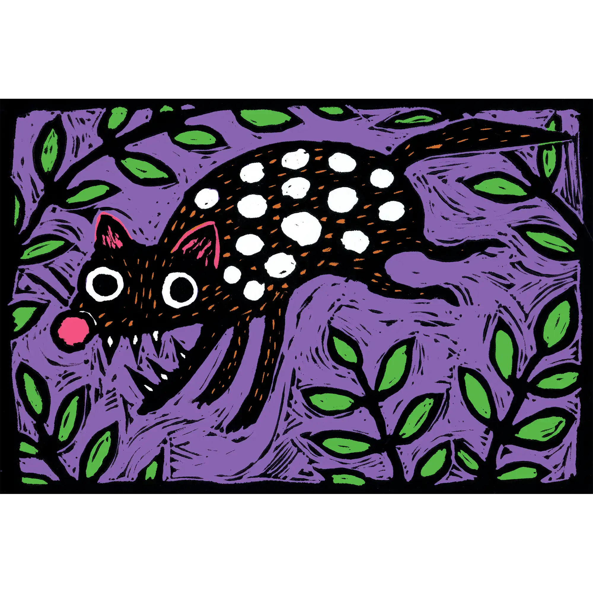 Loose Quoll by Jon Kudelka