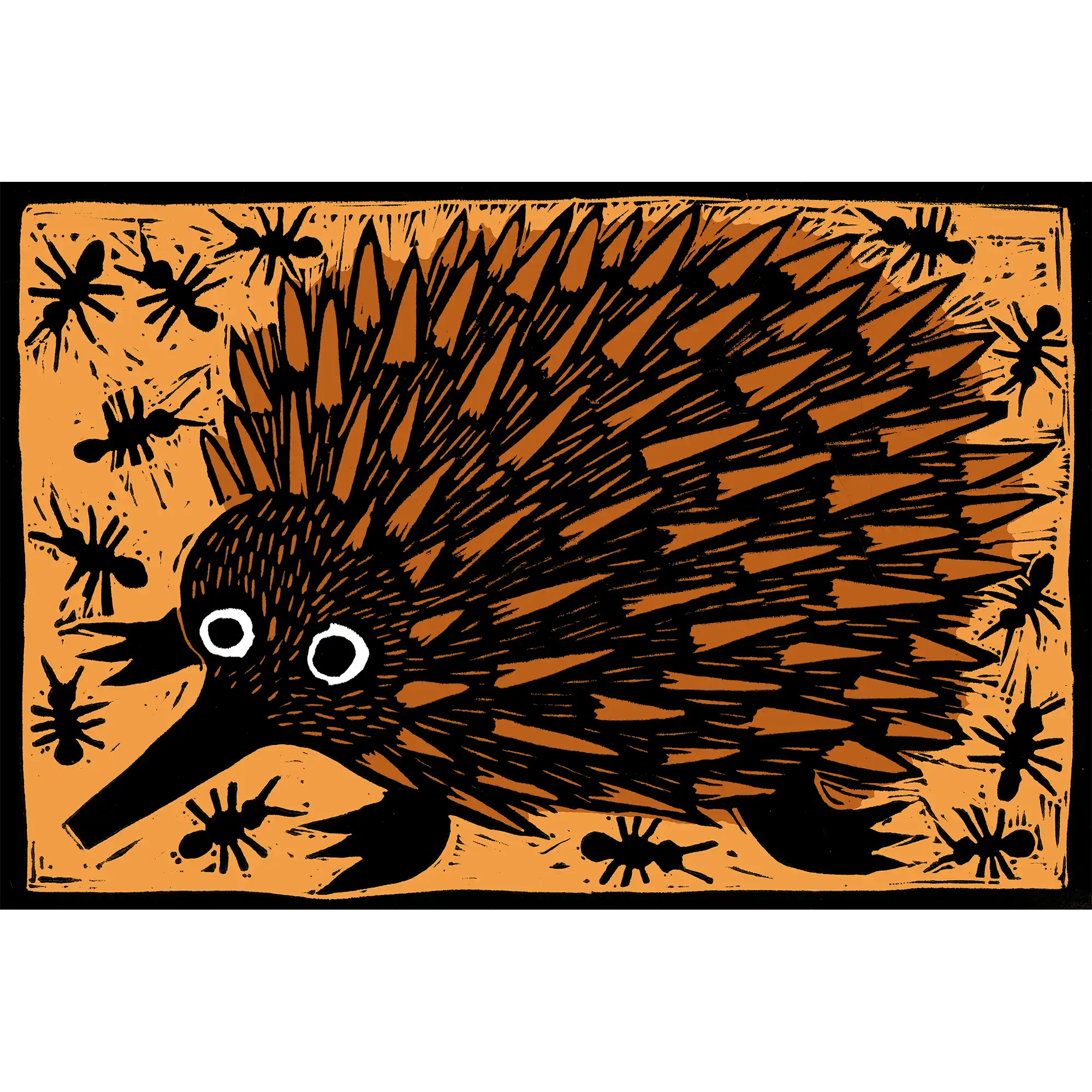 Echidna  by Jon Kudelka