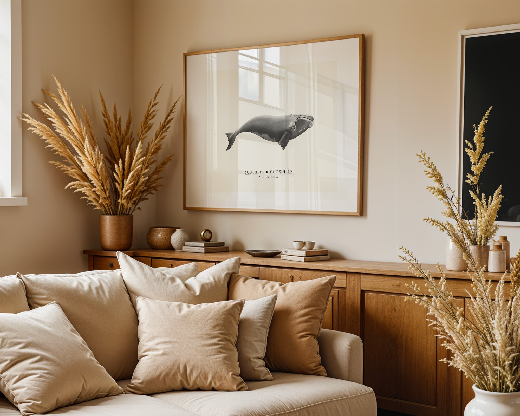 Southern Right Whale by Sam Lyne