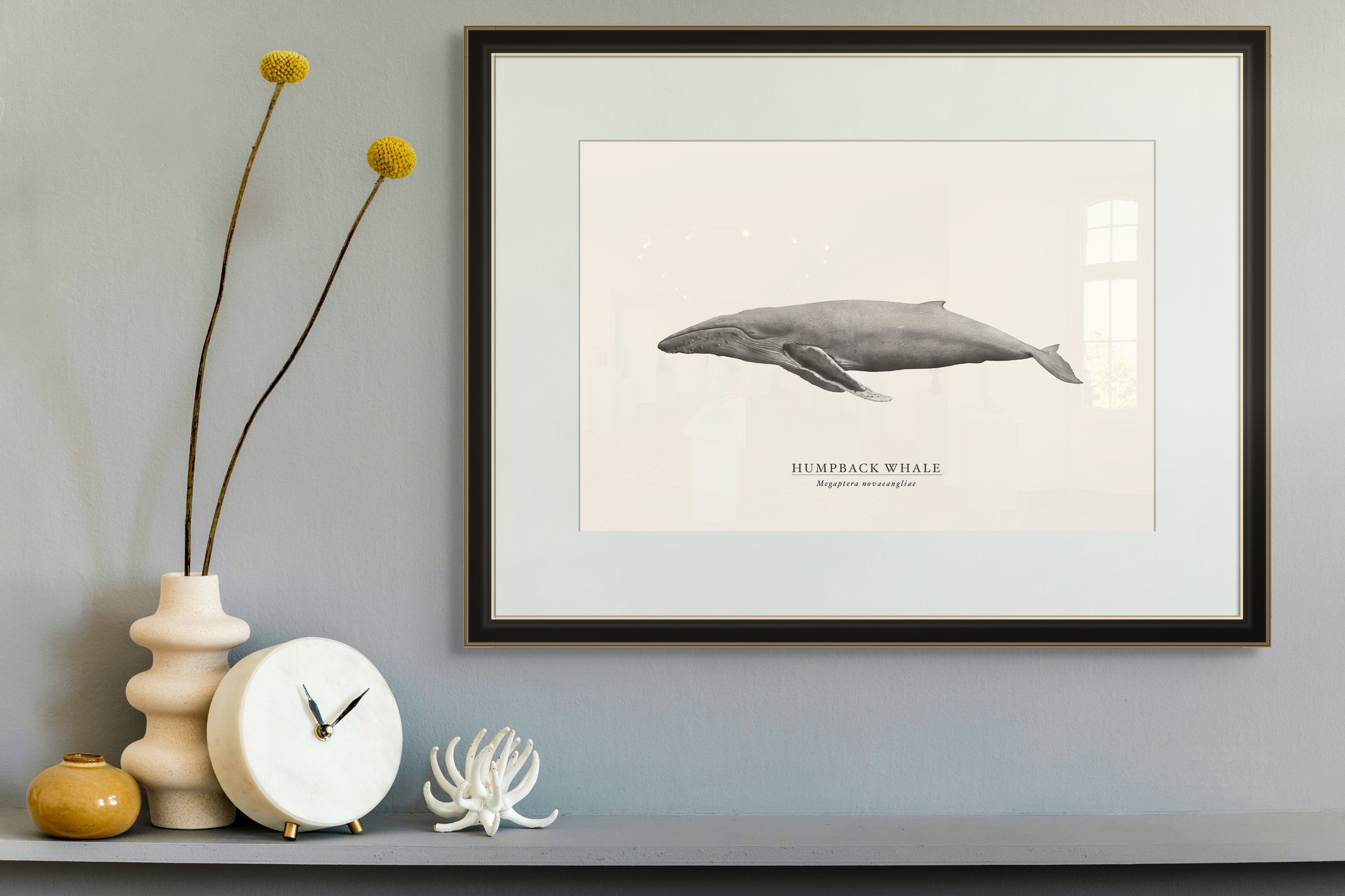 Humpback Whale by Sam Lyne