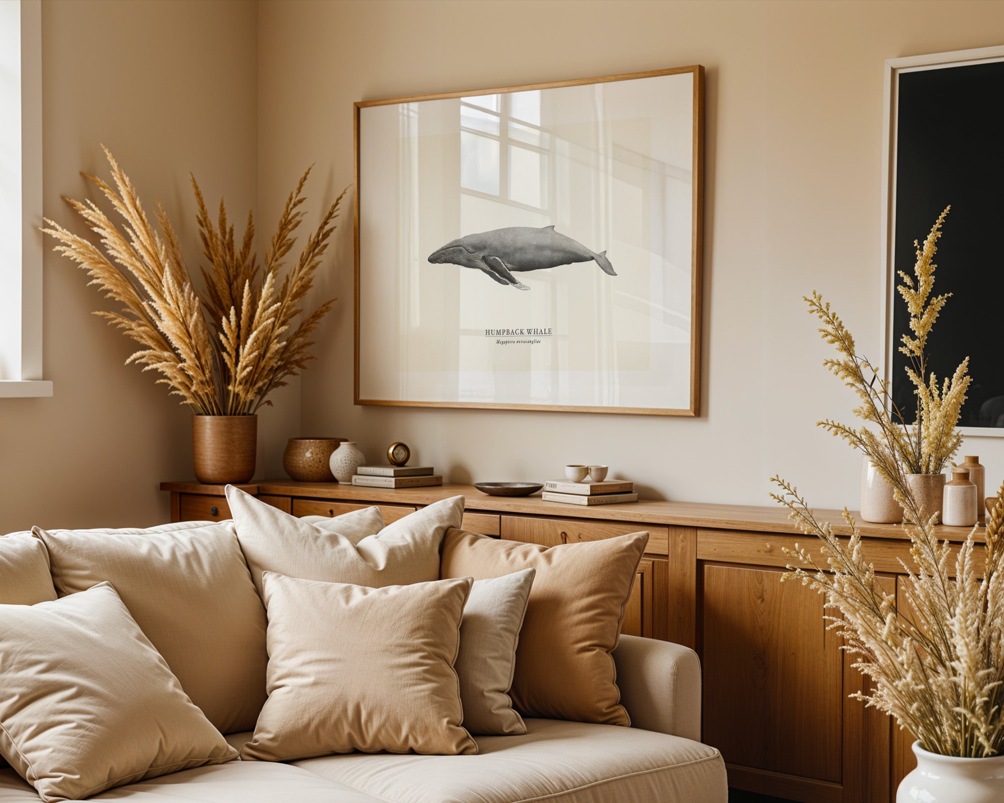 Humpback Whale