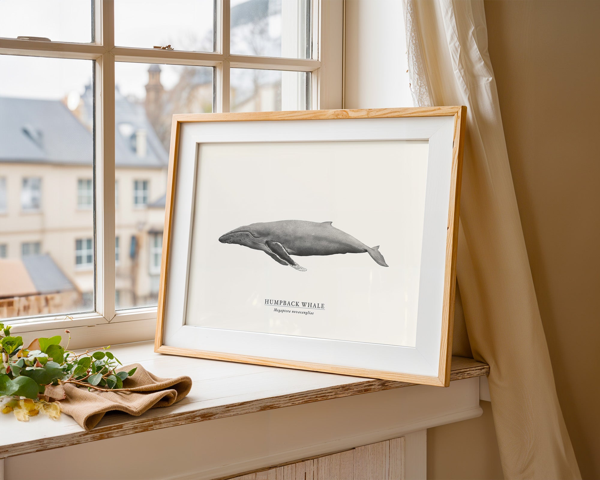 Humpback Whale by Sam Lyne