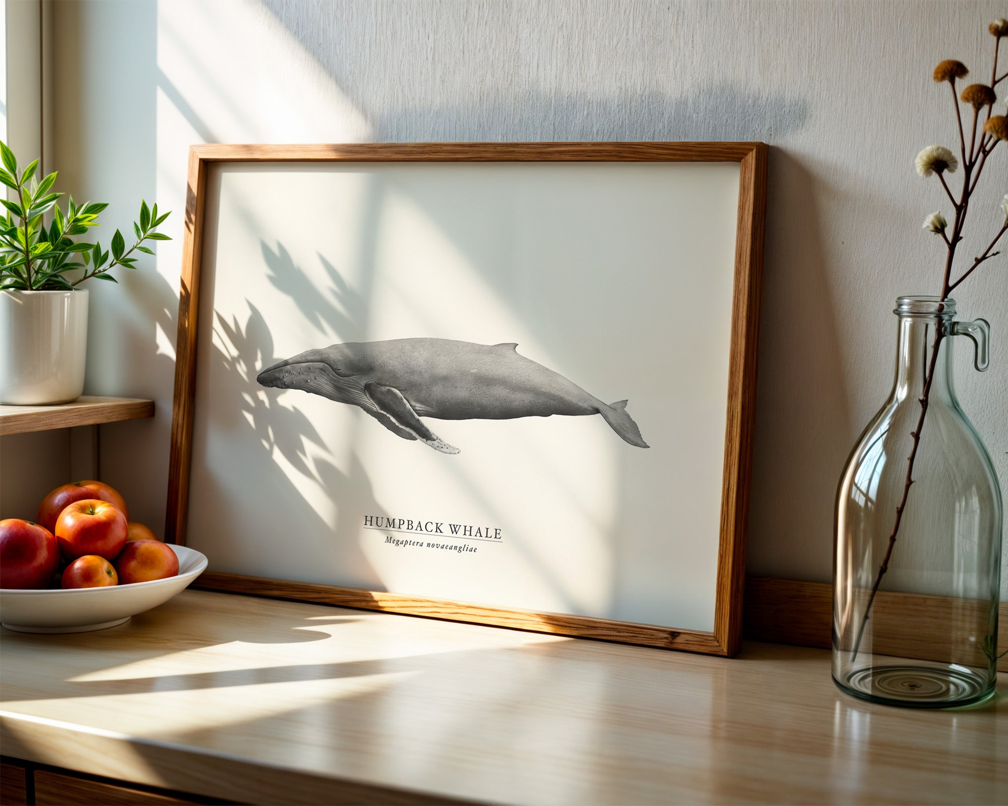 Humpback Whale by Sam Lyne