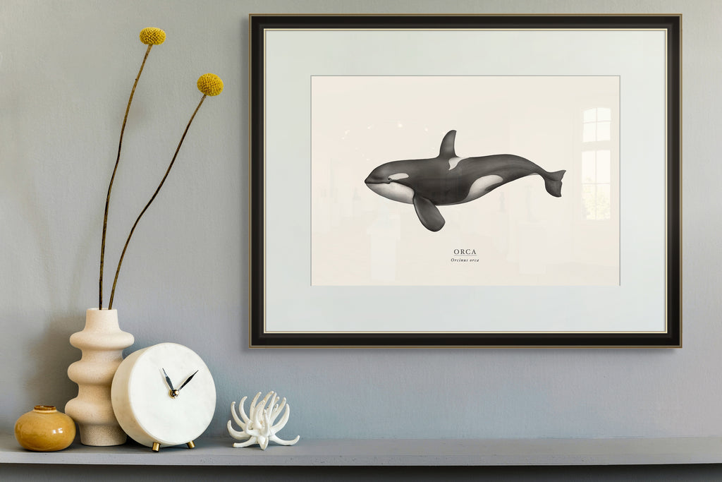 Orca by Sam Lyne