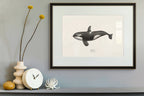 Orca by Sam Lyne