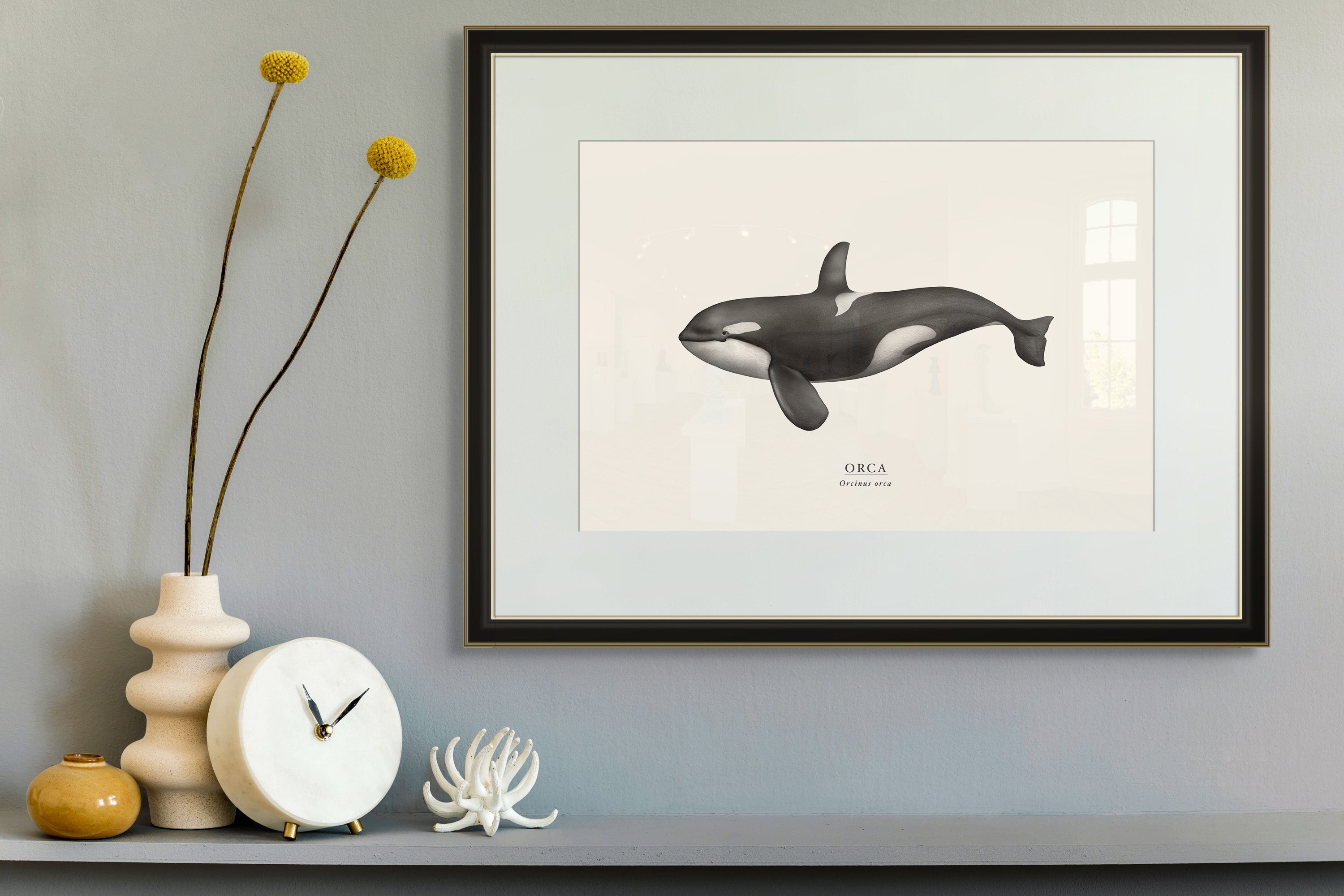 Orca by Sam Lyne
