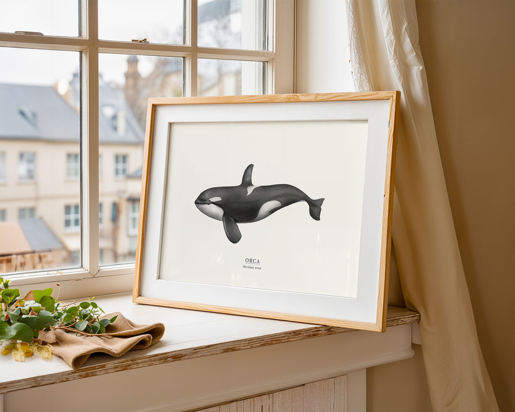Orca by Sam Lyne