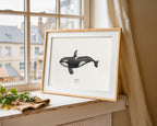 Orca by Sam Lyne