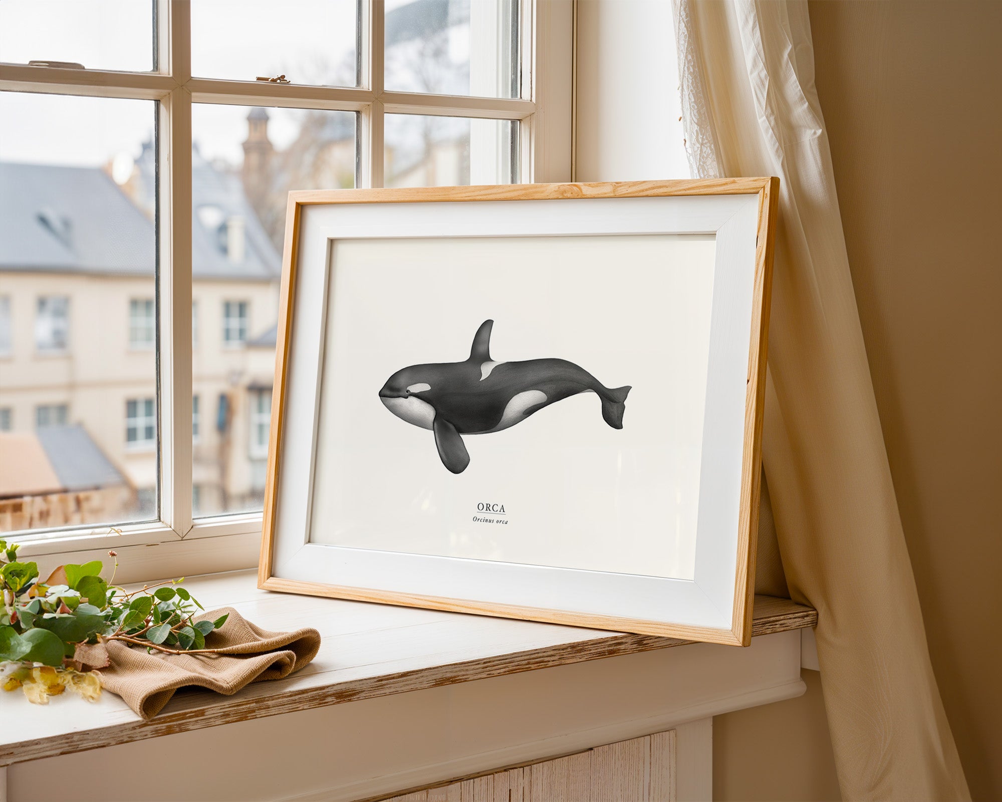 Orca by Sam Lyne