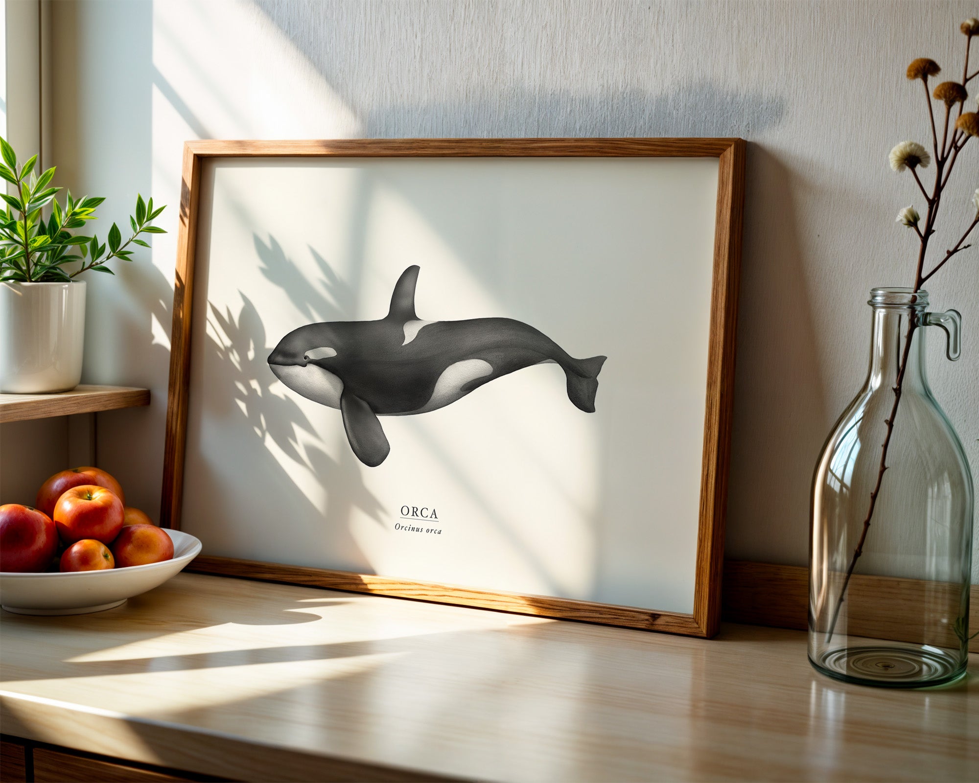 Orca by Sam Lyne
