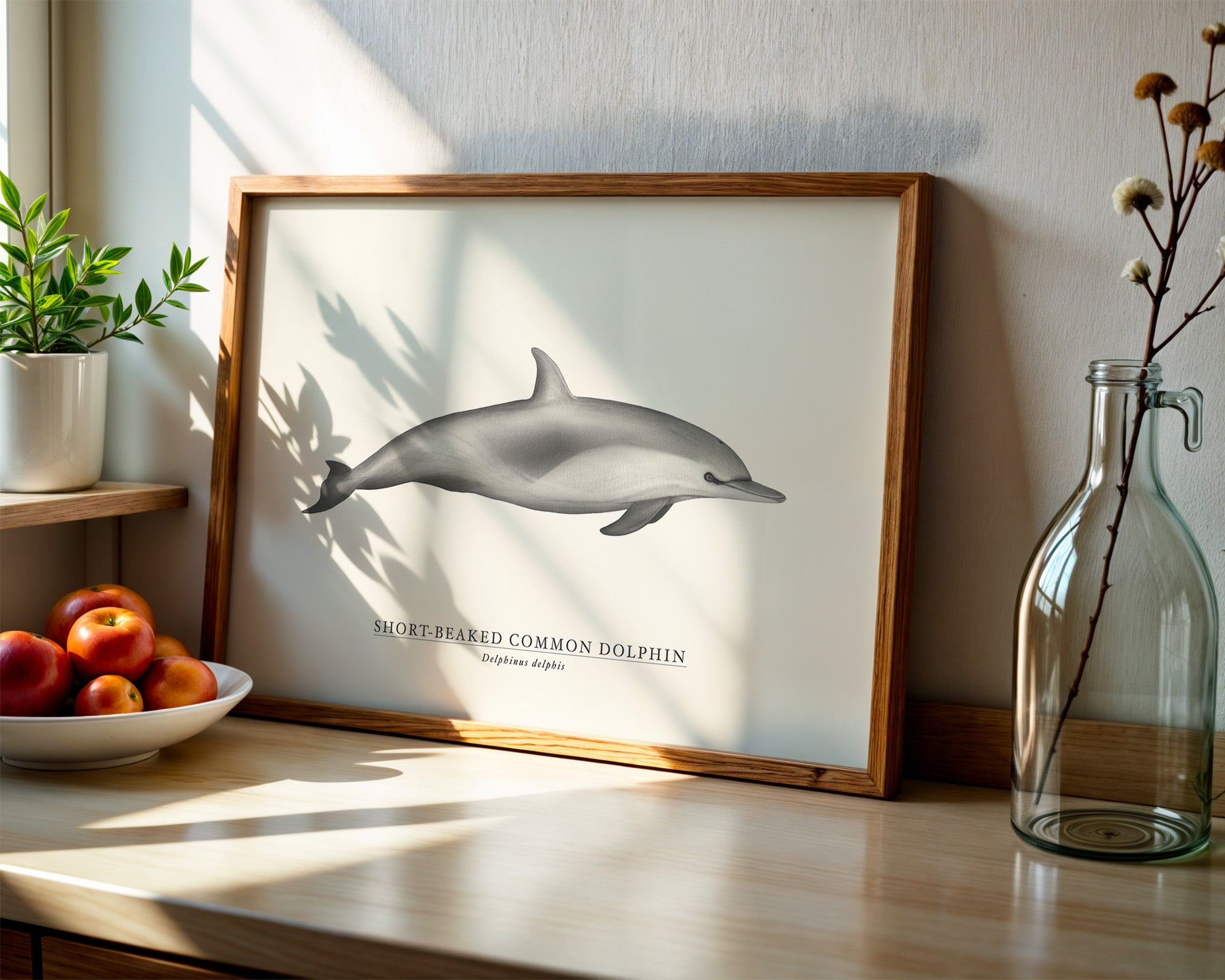 Short-Beaked Common Dolphin  by Sam Lyne