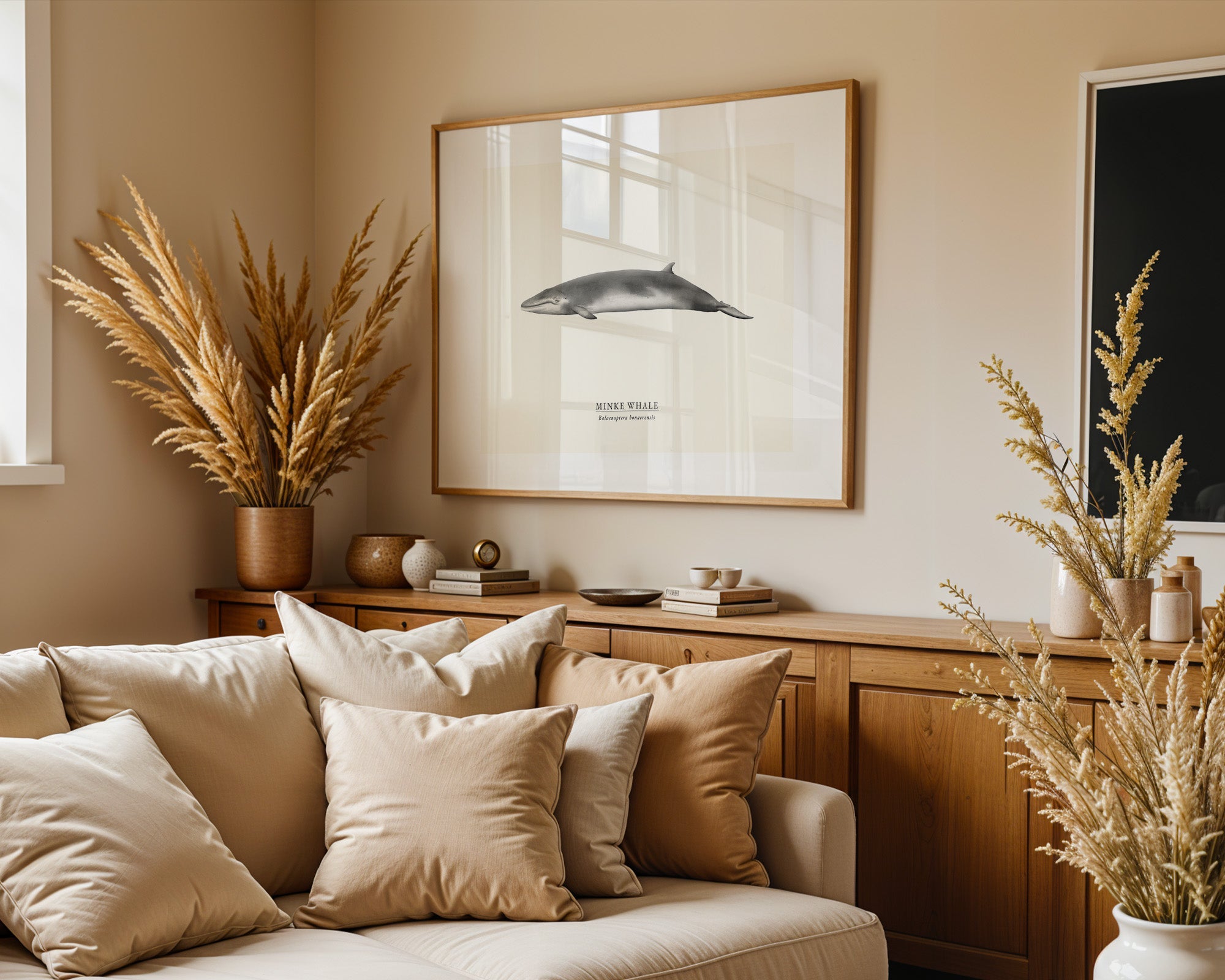 Minke Whale by Sam Lyne
