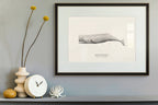 Sperm Whale by Sam Lyne