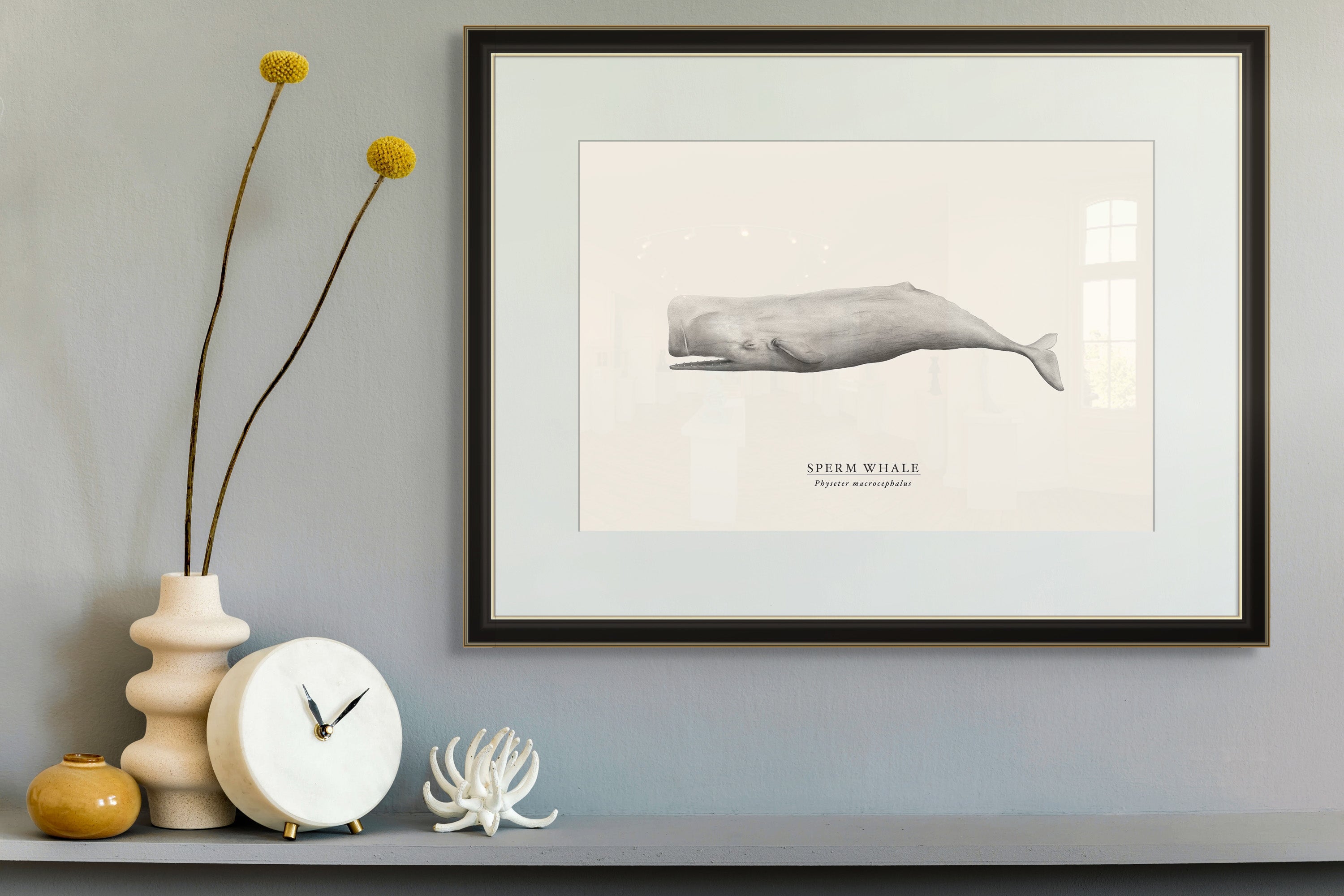 Sperm Whale by Sam Lyne