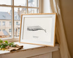 Sperm Whale by Sam Lyne