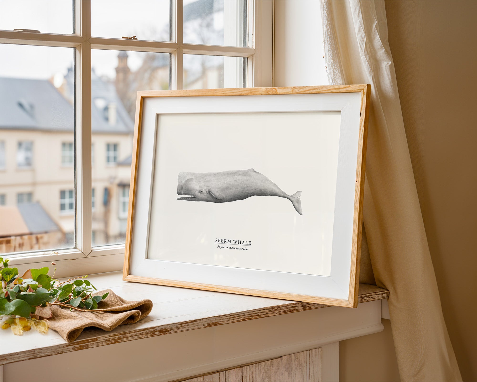 Sperm Whale by Sam Lyne