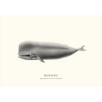 Monstro by Sam Lyne