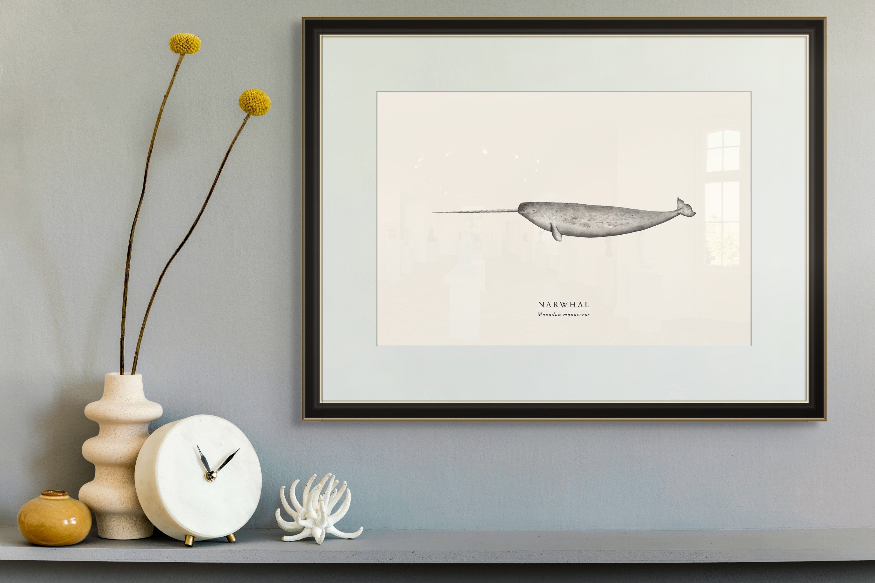 Narwhal by Sam Lyne