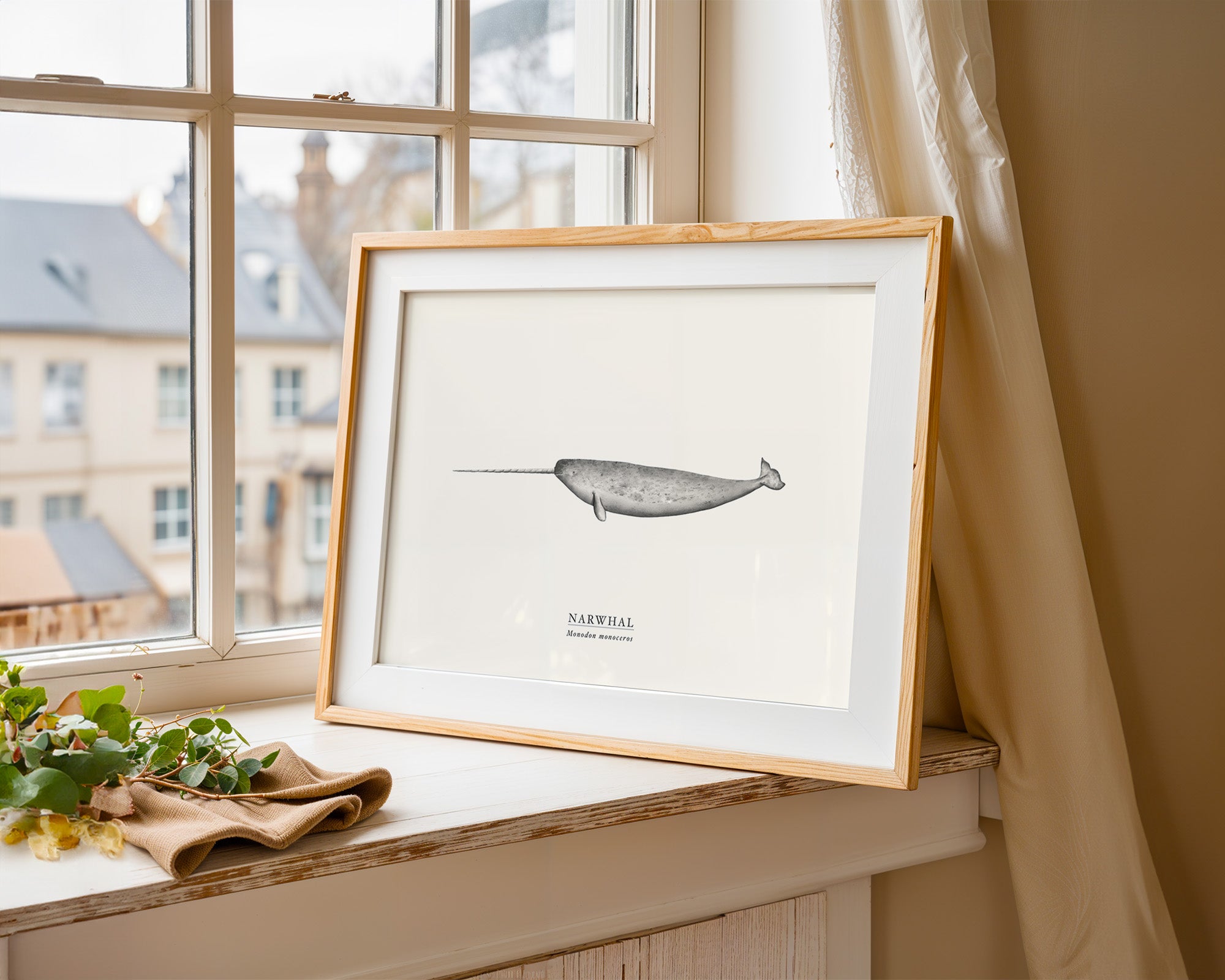 Narwhal by Sam Lyne