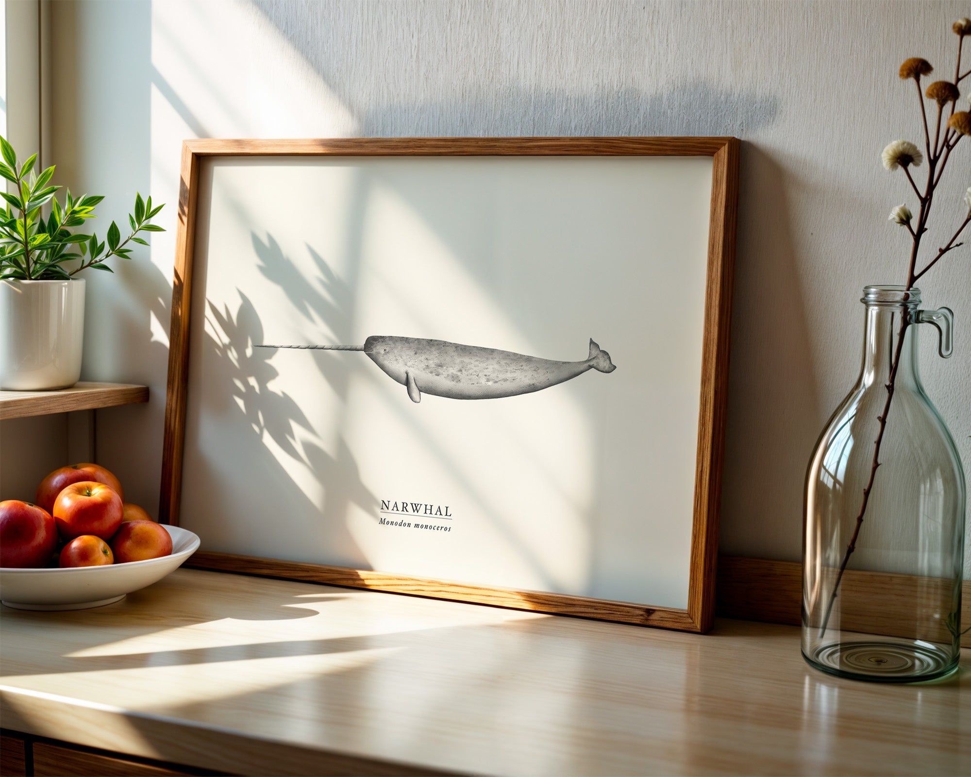 Narwhal by Sam Lyne