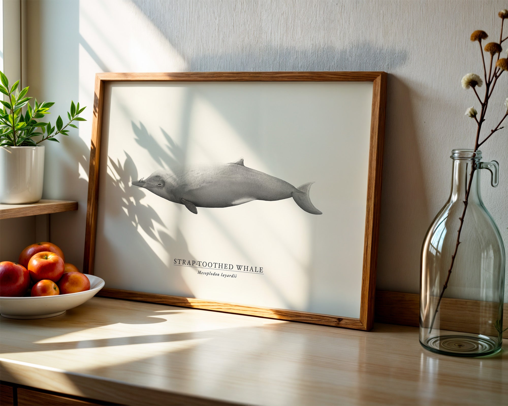 Strap-toothed Whale by Sam Lyne