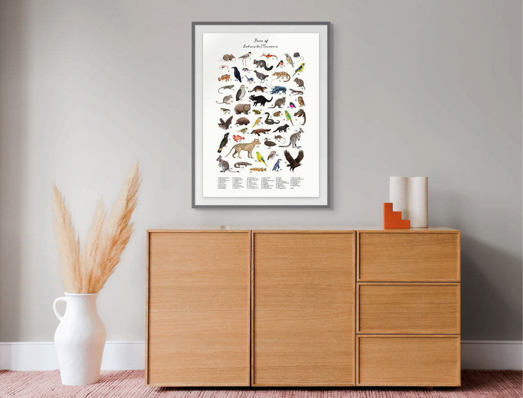 fauna of Lutruwita/tasmania  by Sam Lyne