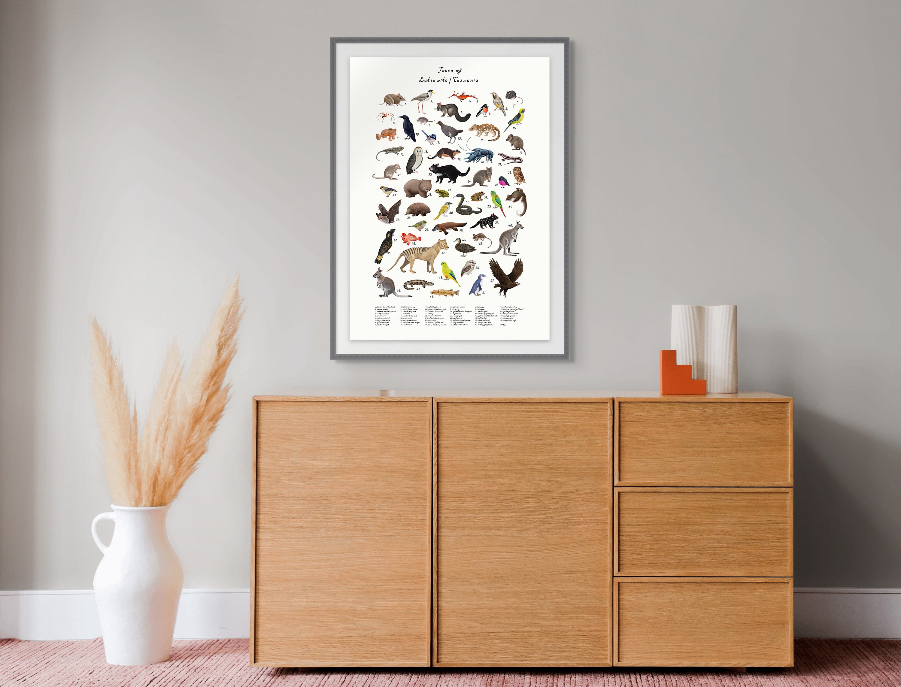 fauna of Lutruwita/tasmania  by Sam Lyne