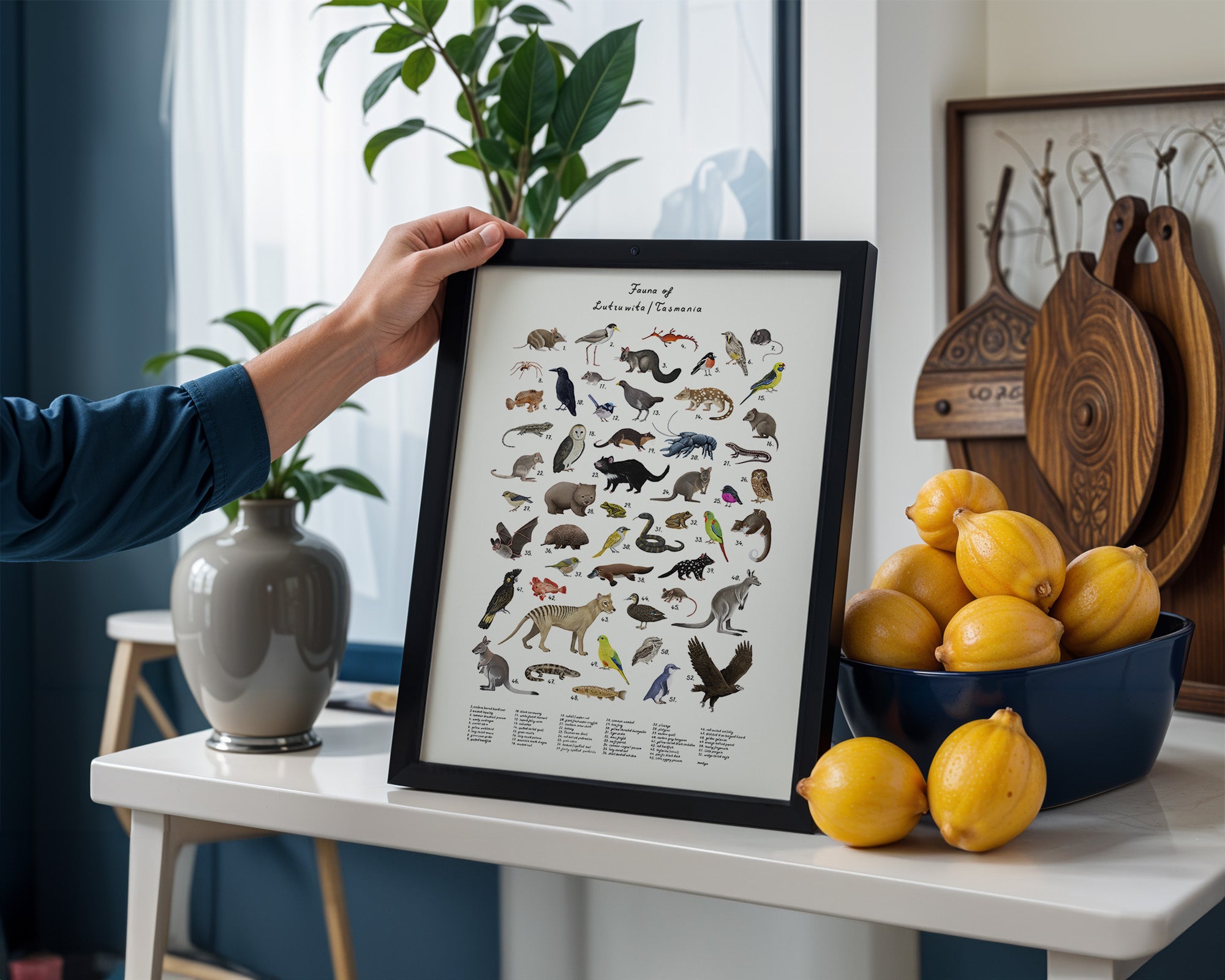 fauna of Lutruwita/tasmania  by Sam Lyne