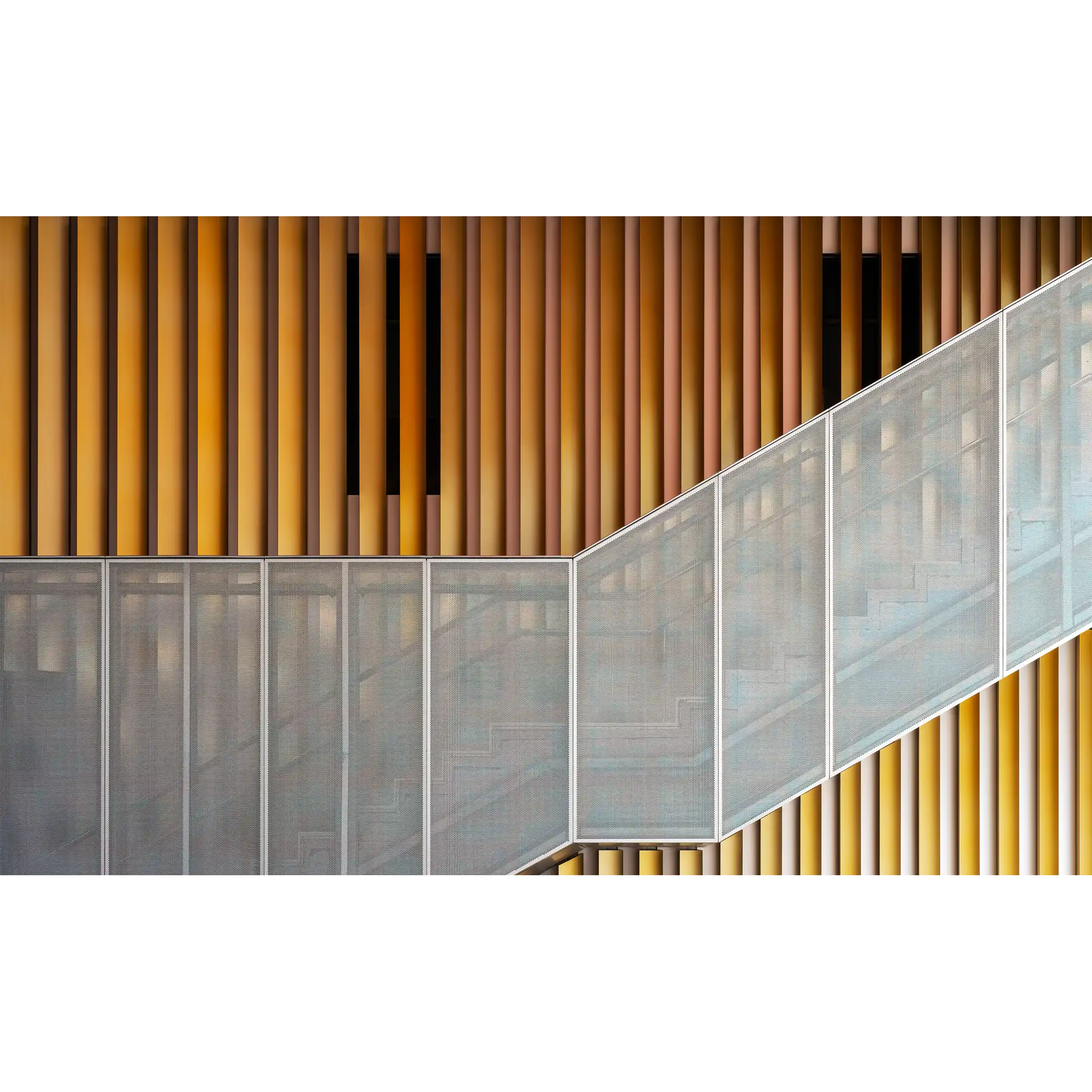 Ascending by Julie Moltmann