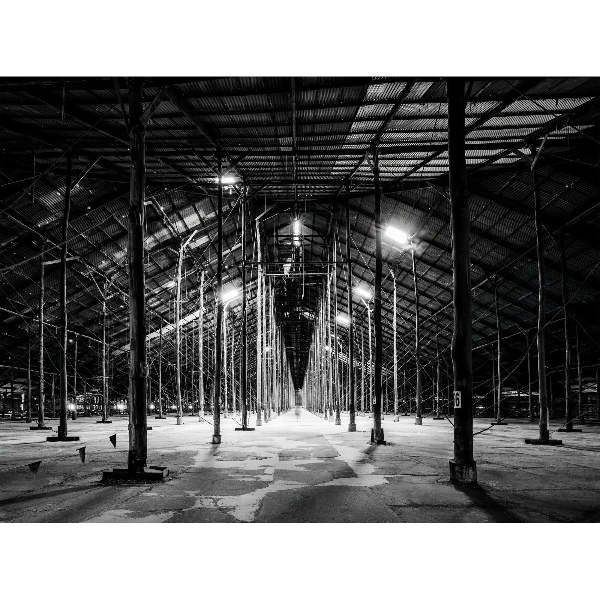 Cathedral by Julie Moltmann