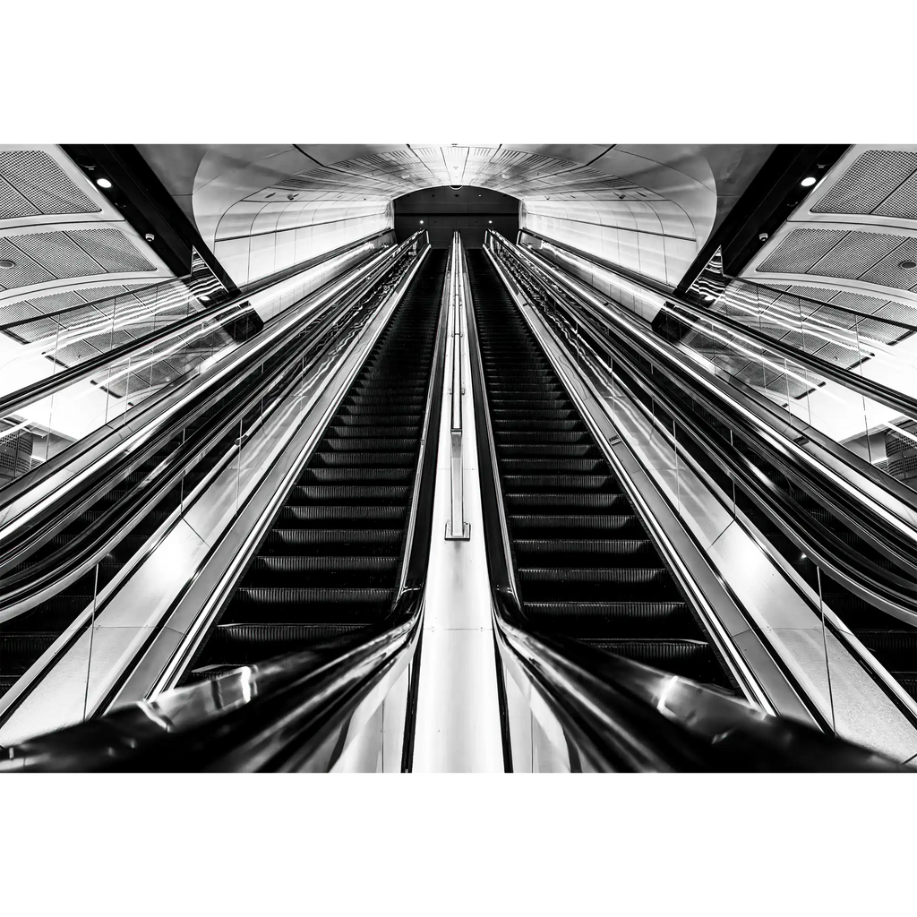 Escalation by Julie Moltmann