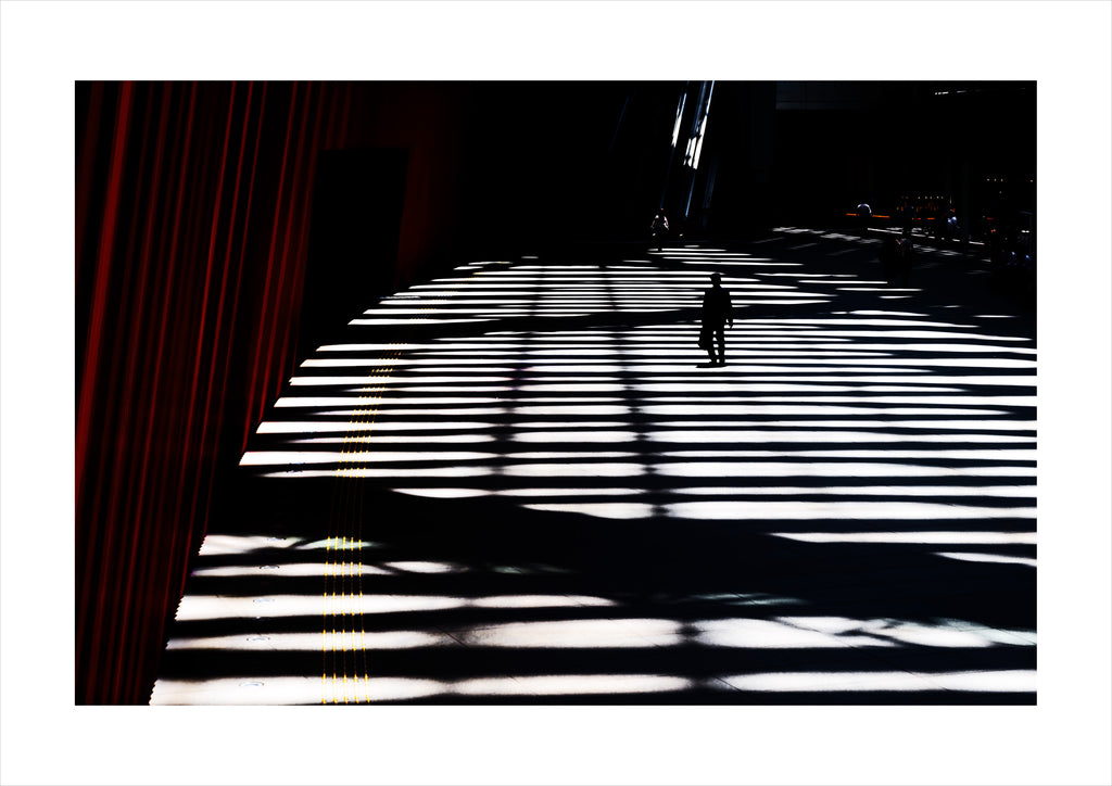 Shadowed by Julie Moltmann